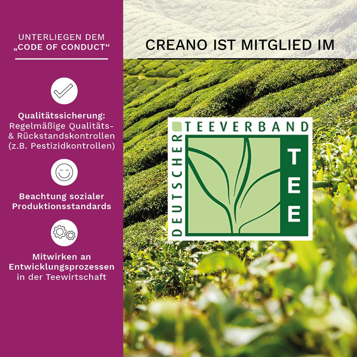 Glasteekanne (1,0l) mit zwei Erblüh-Teeblumen