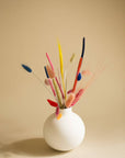 Starter-Set COLORFUL SURPRISE