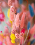 Trockenblumenstrauß PARADISE BIRD