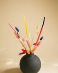 Starter-Set COLORFUL SURPRISE
