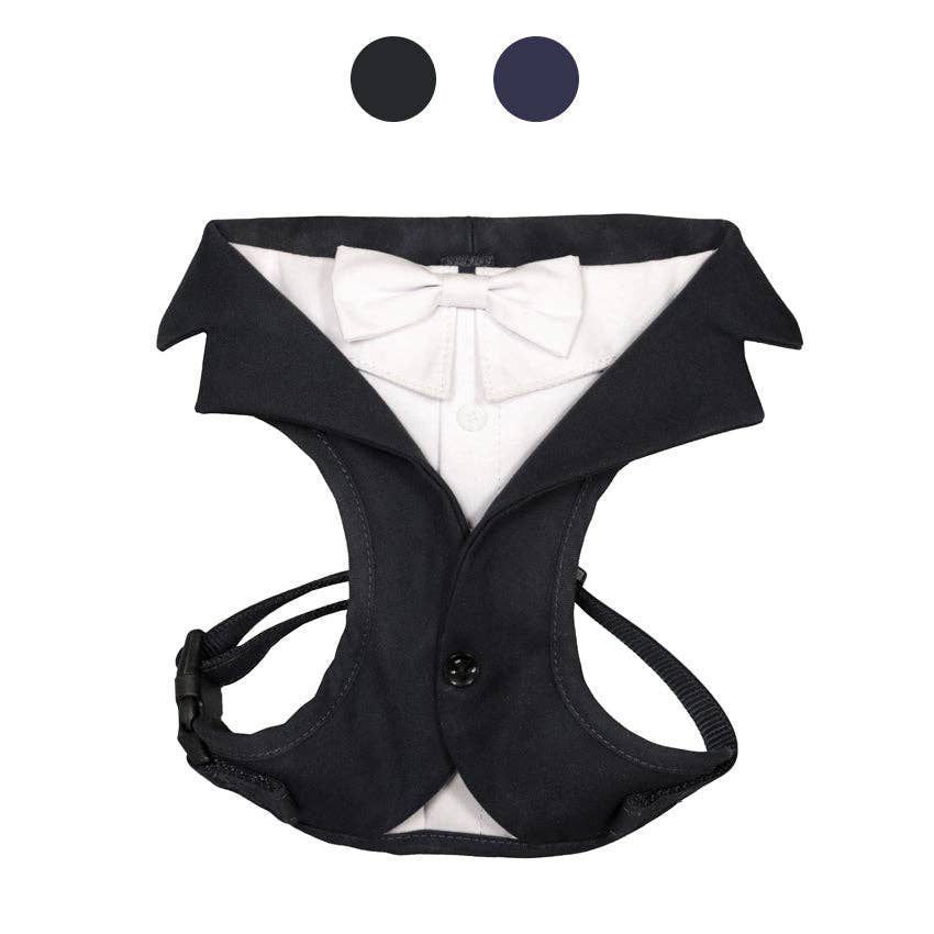 Hundegeschirr für Zeremonien - Bräutigam