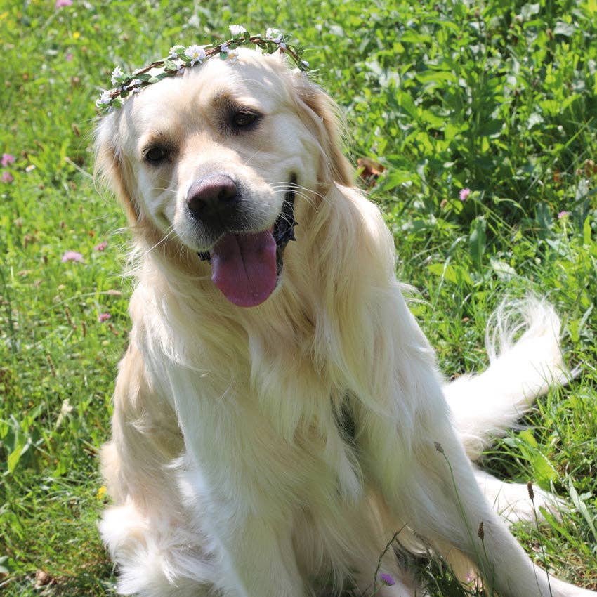 Blumenkrone für die Zeremonie - Zeremonie