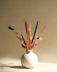 Starter-Set COLORFUL SURPRISE